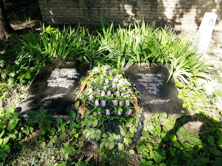 Братская могила